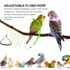 Shappy 4 Pieces Pet Parrot Bird Harness Leash Adjustable Bird Flying Harness Traction Rope with Cute for Parrots Pigeons Budgerigar Lovebird Cockatiel Mynah Outdoor Training Toy (Green, Pink,XS)