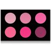 SHANY Shimmer & Matte Cool-Toned Blush Palette - Layer 5 - Refill for the 6 Layer Mini Masterpiece Collection Makeup Set