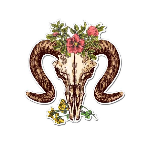 Ram Skull with Flowers Modern Boho Trendy - 8" Vinyl Sticker - for Car Laptop I-Pad - Waterproof Decal