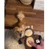Glory To Dog Barnyard Horse Plush Small Dog Toy