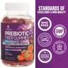 Nature's Fiber Gummies for Adults 4g, Daily Prebiotic Gummy Fiber Supplement, Digestive Health Support - Supports Regularity & Digestion for Adults, Plant Based Soluble Fiber, Non-GMO - 120 Gummies