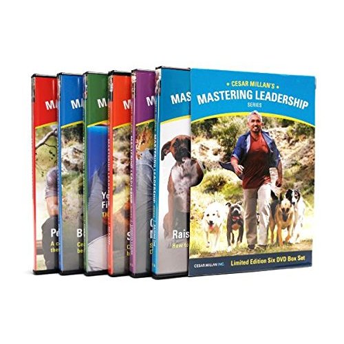 Mastering Leadership Six DVD Box Set
