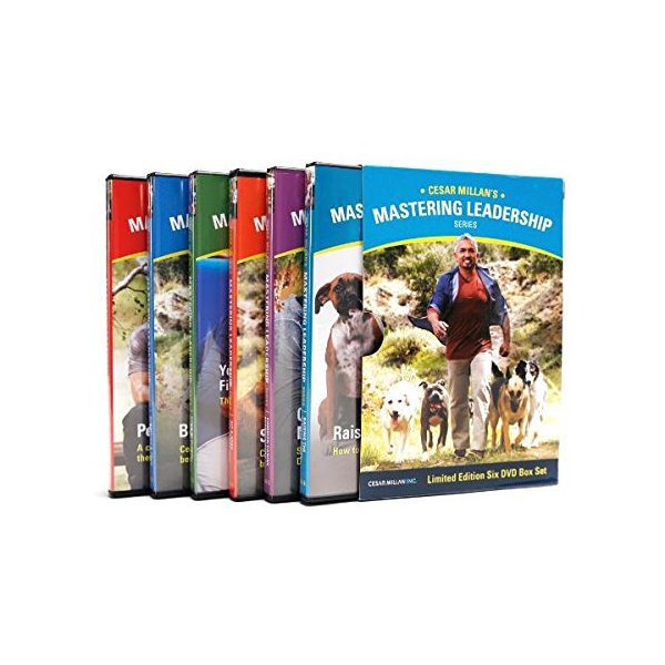 Mastering Leadership Six DVD Box Set