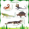 Toymany 12PCS Reptile Animal Figurine Toys Set，Cold Blooded Amphibians Desert Animal Figures Set with Komodo Dragon Lizard Snake Chameleon Toy Birthday Gift Party Favor for Kids Toddlers
