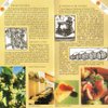 Traditional Balsamic Vinegar of Modena PDO 12 years old, 3.4 oz + Tic doser + Recipes book