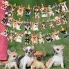 3Pcs Chihuahua Party Banner Chihuahua Dog Birthday Party Decorations Dog Party Supplies Chihuahua Birthday Cutout Banner for Pet Dog Theme Baby Shower Supplies