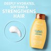 Aveeno Sunflower Oil Blend Conditioner, for Dry Damaged Hair, Dye, Paraben & Sulfate Surfactants Free, 12oz