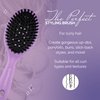 Curl Keeper Styling Brush - Gently Distributes Products and Oils from Roots, Deep Bristles for Thick Hair - Lightweight Hair Accessory