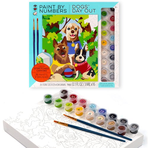 Bright Stripes Paint by Numbers Kit for Kids: Easy to Follow Paint by Numbers Canvas with Frame Kids Paint Kit (Paint by Numbers Dogs' Day Out)