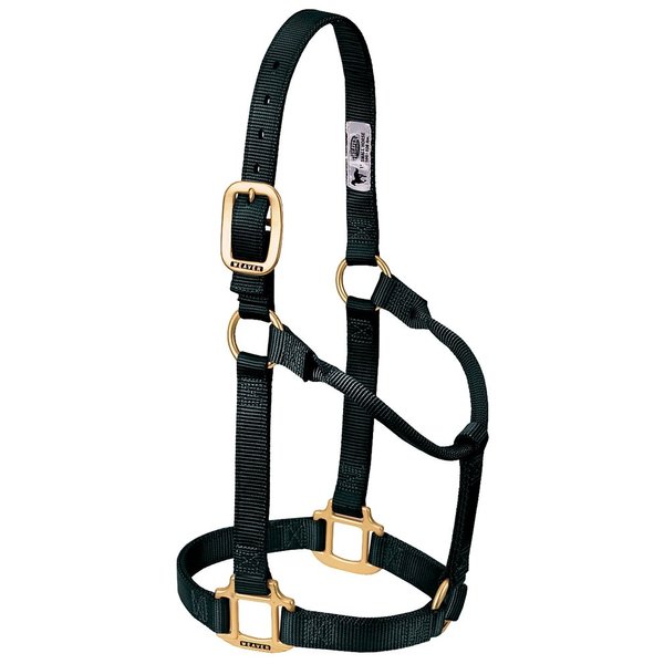Weaver Leather Original Non-Adjustable Nylon Horse Halter, Small, Black