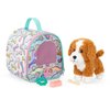 Glitter Girls – Stuffed Dog & Carrier – Doll Accessories – Golden Labradoodle – Toys for Kids 3 Years+ – Froo Froo & Pup Carrier Set