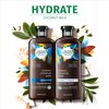 Herbal Essences Biorenew Coconut Milk Hydrate Shampoo, 13.5 FL OZ