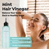 A'PIEU Mint Hair Vinegar Rince 6.76 fl oz - Advanced Scalp Treatment for Oil Control, Hydrating & pH Balancing | Clarifies & Refreshes