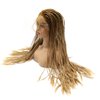 BTWTRY Micro Braided Lace Front Wigs Dark Roots Brown Ombre Honey Blonde Wig with Baby Hair Heat Resistant Fiber Synthetic Lace Front Braid Wig Box Braids Wig (24Inch, Brown/Honey Blonde)