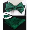 Alizeal Mens Classic Paisley Woven Self-tied Adjustable Bow Tie, Cummerbund and Pocket Square, Dark Green