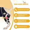 Dog Knee Brace for Torn ACL Hind Leg, Dog Knee Braces with Cruciate Ligament Injuries Rear Legs or Front Legs, Adjustable Pain Relief Hip Dysplasia Support Brace for Back Legs, XS