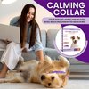 Royce Naturals 4 Pack Calming Collar for Dogs, Pheromone Breakaway Dog Collar, Separation Anxiety Relief for Dogs, Purple, (PETCOL01-3PP)