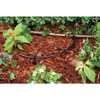 Rain Bird T22-50S Drip Irrigation 1/4" Blank Distribution Tubing, 50' Roll, Black