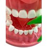 E-Z Floss Dental Floss Holder