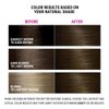Better Natured Permanent 5A Light Ash Brown Hair Color Dye - Naturally-derived, Vegan & 100% Gray Coverage that Lasts up to 8 Weeks