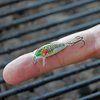 Rapala Jointed Shad Rap 04 Fishing lure (Baby Bass, Size- 1.5)