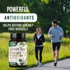 PureTea Green Tea Extract Pills 1000mg with EGCG - 98% Standardized Polyphenols - 3X Absorption Green Tea Capsules for Natural Energy - Heart Support with Antioxidants, Gentle Caffeine - 60 Capsules