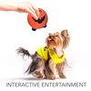 Dog Colorful Plush Squeaky Ball Toys for Small Medium Dogs and Cats; Soft Funny Face Toy Fetch Interactive Balls for Puppy; Gift Box