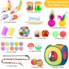 Retro Shaw Cat Toys Set 33 PCS, Interactive Cat Kitten Toys for Indoor Cats Kitty with Collapsible Cat Play Tunnel Tube Tent Cat Feather Wand Teaser Cat Bell Fuzzy Ball Springs Mouse Toys