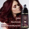 DISAAR Beauty Speedy Hair Color Shampoo 100% Cover Gray White Hair Easy To Use Long Lasting 400ml/13.53fl.oz (Burgundy Red)