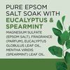 Dr Teal's Eucalyptus & Spearmint Epsom Salt and Foaming Bath Sampler Set, 2 Piece