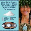 Sea Salts Of Hawaii Garlic Salt Flavored Hawaiian Sea Salt, 4 Ounce Bottle - Made in Hawaii