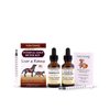Amber NaturalZ Internal Gold Detox Kit Herbal Supplement Kit for Dogs and Cats | Pet Supplements for Kidney and Liver Support | 2 Amber Glass Bottles (1 fl oz Each) | Manufactured in The USA
