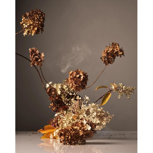 Homecourt Cece Hand Cream (12 Fl Oz) - Dermatologist Tested, Non-Greasy, Moisturizer, Formulated With Hibiscus Flower Extract, Micro Algae Oil for Hydrated, Nourished, Soft Hands