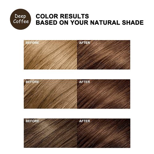 GURKOOYD 3 in 1 Dark Brown Hair Dye Shampoo for Gray Hair, Natural Hair Color Shampoo for All Hair Types, Shampoo Cubre Canas Para Mujer,Long Lasting Shampoo That Dye Your Hair 16.9 Fl Oz