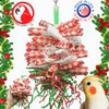 Bonka Bird Toys 2568 Christmas Paper Shred Medium Parrot Shred Forage Cage Toy, Conure Cockatiel, Parakeet, and Similar Sized Breeds