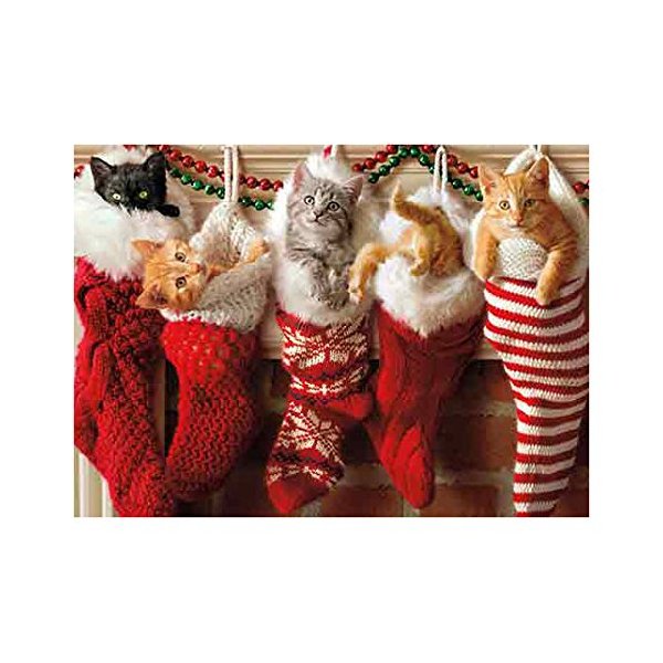 Avanti Press Christmas Cards, Stocking Full of Kittens, 50 Count Value Pack (32568)