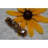 Gold Tiger's Eye Stone French Barrette Hair Clips