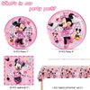 Minnie Birthday Party Supplies, 20 Plates, 20 Napkins and 1 Tablecover for Mouse Party Decorations
