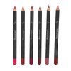 ZJchao 12Pcs Lip Liner, Contour Pencil for Girl Women, Waterproof Smooth Soft Smudge Matte Long Lasting Lipstick Makeup Tool Set