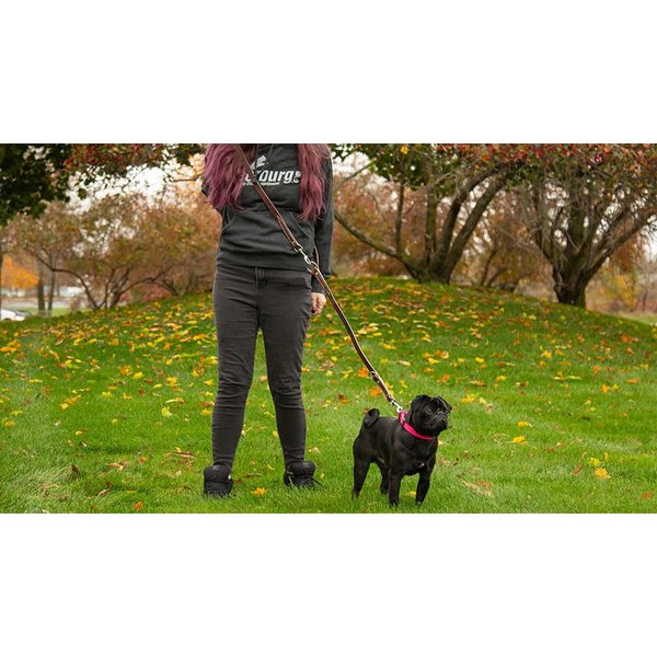 Brown Police Leash w/Stainless Steel Hardware