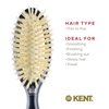 Kent CSGS Classic Shine Small Oval Cushion Straightening Brush and Hair Detangler Natural White Boar Bristle Hair Brush, Shine Hair Brush and Scalp Scrubber for Mid-Length Fine or Thinning Hair