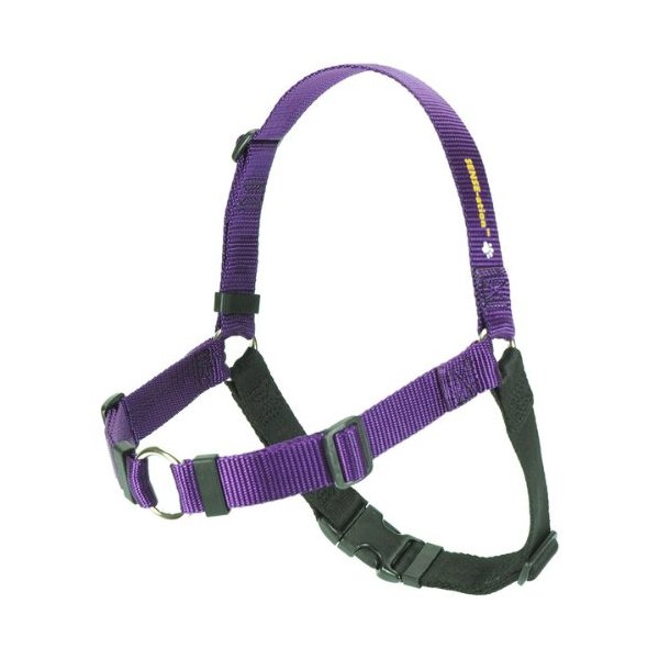 The Original SENSE-ation No-Pull Dog Training Harness (Purple, Extra Small)