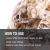 GREAT CLIPS Solutions Nourishing Shampoo 10oz | Argan Oil | Sulfate and Paraben Free | Moisturizes and Restores Shine | Safe for Color-treated Hair