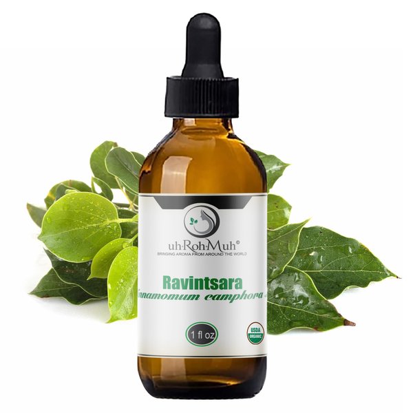 uh*Roh*Muh 100% Organic Ravintsara Essential Oil Pure Essential Oil for Diffusers and Aromatherapy at Home Cinnamomum Camphor Oil, Sourced from Madagascar USDA Certified Organic 1oz