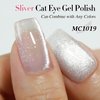 Double Rhythm 0.5 OZ Cat Eye Gel Polish with Magnet 15ML Holographic Glitter Shimmer Translucent Jelly Color Magnetic Nail Polish Salon DIY at Home (MC1019)