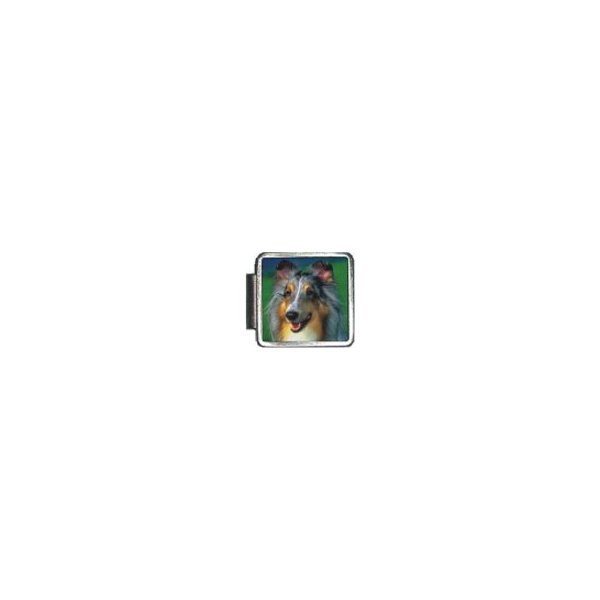 Clearly Charming Sheltie Italian Charm Bracelet Link