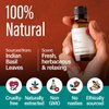 H’ana Basil Essential Oil for Diffuser - 100% Natural Basil Oil Essential Oil for Hair, Herbaceous & Refreshing Aroma (1 fl oz)
