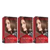 Revlon Permanent Hair Color, Permanent Hair Dye, Colorsilk with 100% Gray Coverage, Ammonia-Free, Keratin and Amino Acids, 40 Medium Ash Brown, 4.4 Oz (Pack of 3)