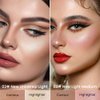 evpct 2in1 Face Shaping & Contouring Stick Cream Contour Concealer Bronzer Stick Makeup Kit for Face Highlighter Makeup Stick contorno maquillaje de maquillaje, NEW Universal Light +NEW Light Medium