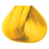 Kiss Tintation Semi-Permanent Hair Color 5 Ounce (Funky Yellow (2 Pack))